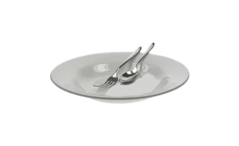 Hotelware Pasta Plate 11 295X295